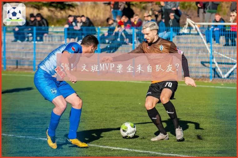 5%!文班MVP票全来自队友?